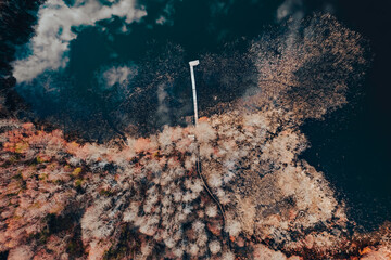 aerial view of a small bridge on the lake in autumn