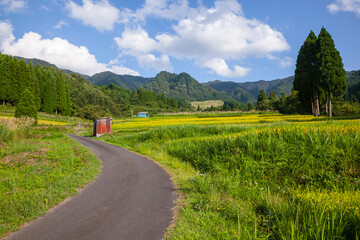 若桜氷ノ山の棚田の風景 鳥取県 若桜町