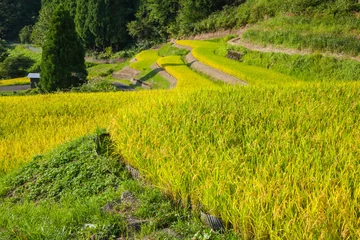 Gordijnen 若桜氷ノ山の棚田の風景 鳥取県 若桜町 © 福田 浩志 - Koji Fukuta