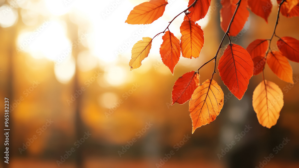 Poster autumn foliage with deep reds and golds with a blurred sunlit forest in soft focus