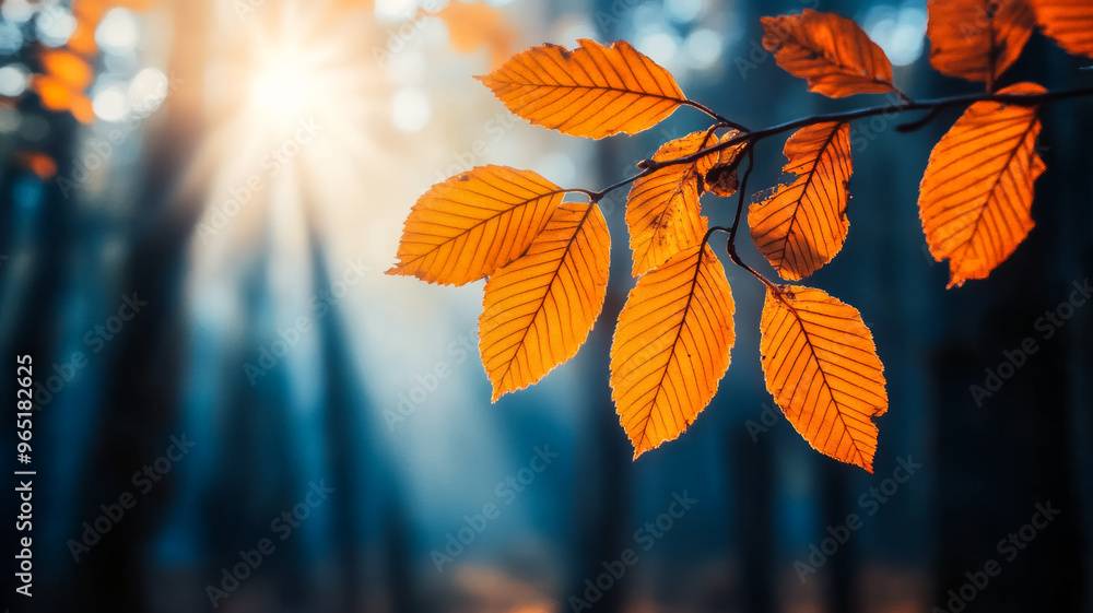 Poster Close up of orange leaves on a branch with sun rays filtering through a blurred forest 