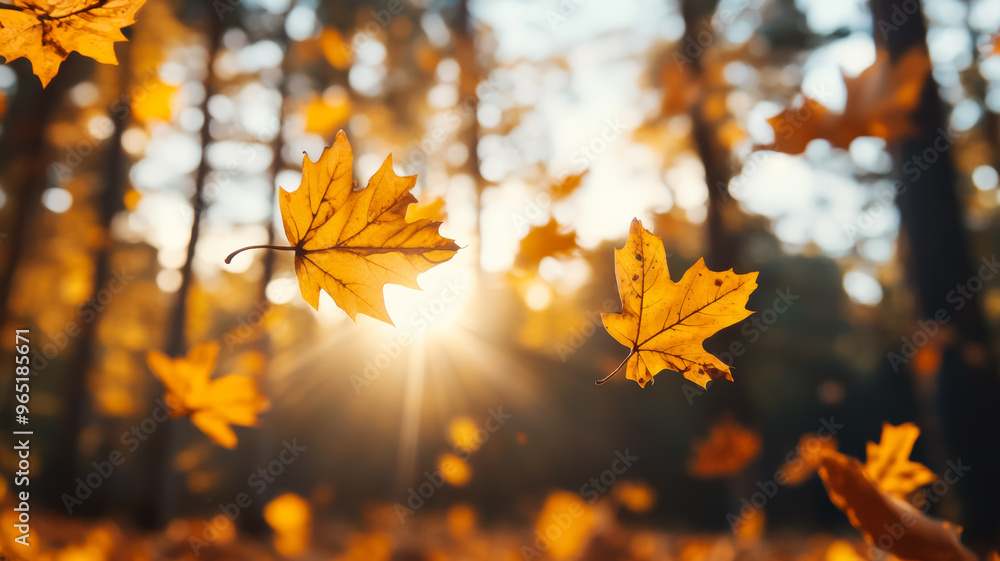 Poster Wind swept autumn leaves in warm sunlight against a background of blurry treetops 