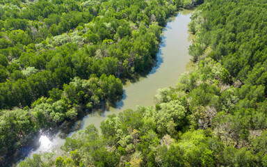 Aerial mangrove forest view at Krabi, Thailand.