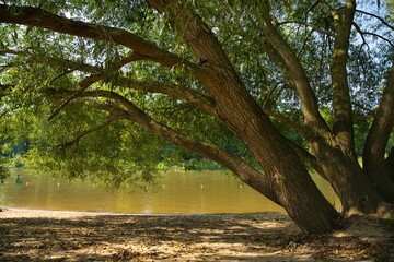 Die Weser bei Minden in Ostwestfalen