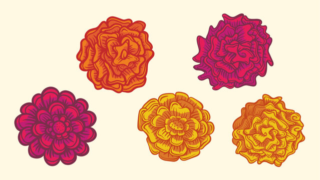 Set of hand drawn marigold, cempasuchil flowers. Flores del dia de muertos.