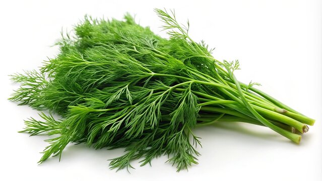 Vibrant green eneldo sprigs pop against a clean white backdrop, adding a festive and fragrant touch to culinary