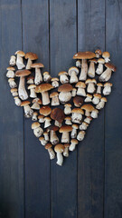 Heart shaped Penny Bun, porcini mushrooms or boletus edulis flat lay