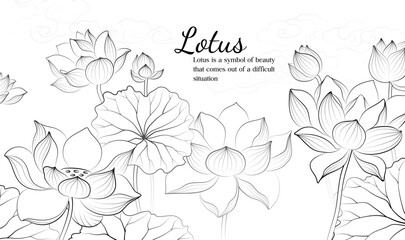 Hand painted elegant linear illustration of Lotus leaf Lotus on a light background