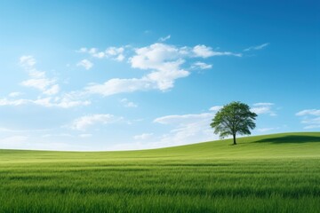 Green field landscape outdoors horizon.