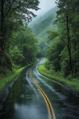 Serene road through a lush green forest tunnel, wet from recent rain