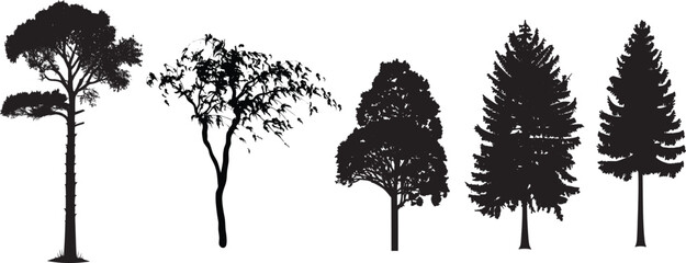 Realistic trees in black and white color, nature park silhouette icons collection. Different trees and Forest trees with grass meadows. Vector illustration.