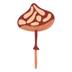Hand draw autumn mushroom isolated on a white background.Single vector illustration in doodle flat style. Clipart cozy illustrations for print, wrapping, packaging.Forest food. Fly agaric