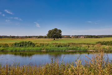 Muldental bei Grimma, Grimma an der Mulde, Landkreis Leipziger Land, Sachsen, Deutschland