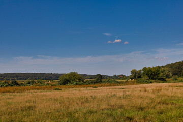 Obraz premium Weite Auenlandschaft mit trockenen Sommerwiesen und fernen Baumgruppen unter blauem Himmel mit leichten Wolken, Muldental zwischen Kössern und Höfgen, Landkreis Leipzig, Sachsen, Deutschland