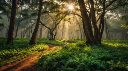 Obraz premium Beautiful Nature Photo World Photography Day Feature