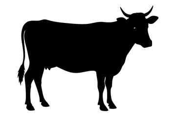 cow silhouette, cow vector illustration, bull, cow icon	
