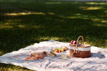 Cozy blanket with basket and snack on fresh mowed grass in park