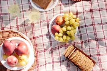 Top down shot of fresh fruits, sparkling beverages and cookies on checkered blanket
