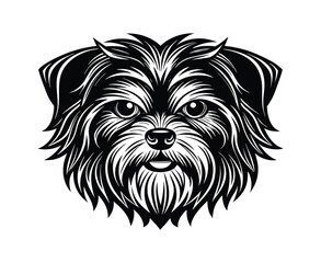 Affenpinscher head silhouette on a white background