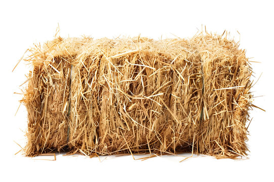 Haystack of dried grass bales used for feeding livestock, agricultural farming. Isolated on a transparent background