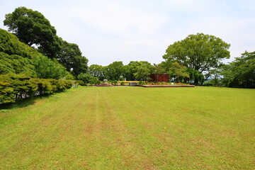 広々とした芝生の広場と青空