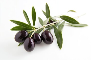 A branch adorned with ripe black olives rests on a pristine white background, displaying the rich sheen of the olives and the lush green leaves. Generative AI