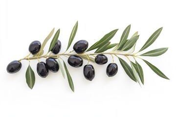 A branch adorned with ripe black olives is showcased against a white background, emphasizing the rich color and gloss of the olives along with vibrant green leaves. Generative AI