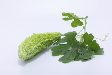 Momordica charantia  fruits isolated on white. ıt is also known as bitter melon, bitter squash