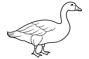 Goose line art vector, goose outline icon 
