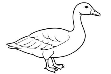 Goose line art vector, goose outline icon 
