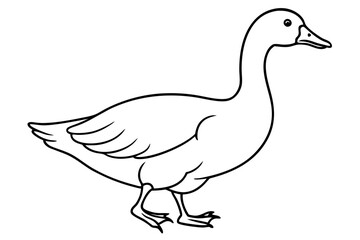 Goose line art vector, goose outline icon 