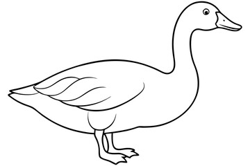 Goose line art vector, goose outline icon 