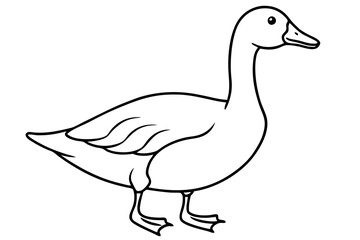 Goose line art vector, goose outline icon 