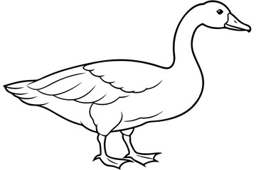 Goose line art vector, goose outline icon 