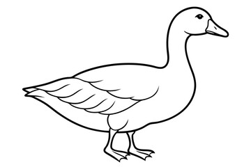 Goose line art vector, goose outline icon 