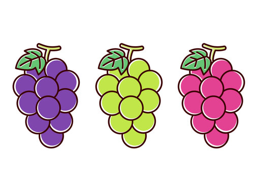 Illustration of three kinds of cute grapes／3種のかわいい葡萄のイラスト