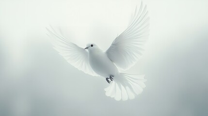 Obraz premium Free flying white pigeon on white background.