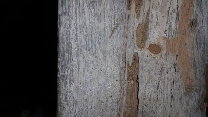 The texture of wood that has been eaten by termites.