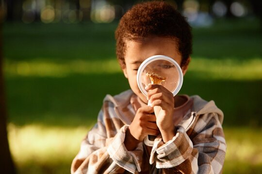 African American boy using magnifier to examine chanterelle while gathering mushroom in wood