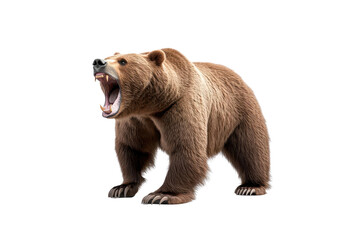 Fototapeta premium A fierce bear roaring with strength and power, showcasing the beauty of wildlife and the majesty of nature.