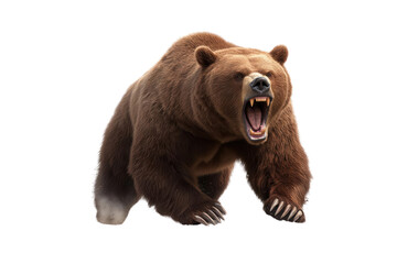 Fototapeta premium A fierce brown bear roaring, showcasing its strength and power in nature. An impressive representation of wildlife.