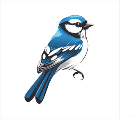 blue jay on a branch