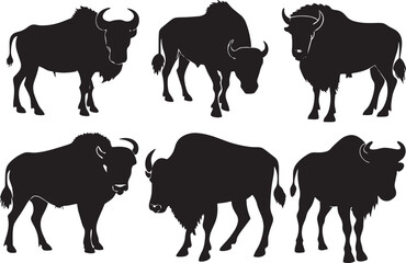 Bison Outline Silhouette Graphics Collection