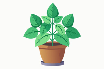 Monstera plant in pot vector illustration