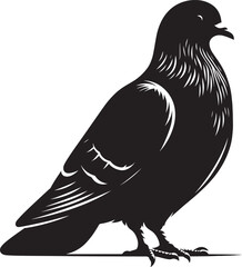 Beautiful Dove bird flying Silhouette vector illustration isolated on a white background