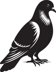 Beautiful Dove bird flying Silhouette vector illustration isolated on a white background