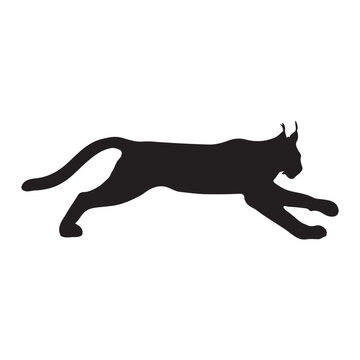 recommend clip art: Lynx silhouette collection , Silhouette of Black Lynx, isolated on white background (Vector)