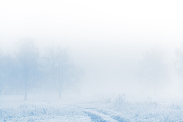 Frost-covered trees and grass in winter forest at foggy sunrise. Beautiful winter landscape