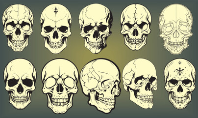 Skulls are frequently used in fashion designs, especially for rock bands, street wear, or gothic brands. Line art skulls can give a minimalist yet bold aesthetic.