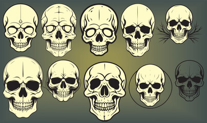 Skulls are frequently used in fashion designs, especially for rock bands, street wear, or gothic brands. Line art skulls can give a minimalist yet bold aesthetic.